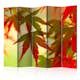 Rumsavdelare Arkiio Colourful Leaves II 225x172 cm
