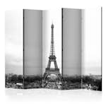 Rumsavdelare Arkiio Paris Black and White Photography II 225x172 cm