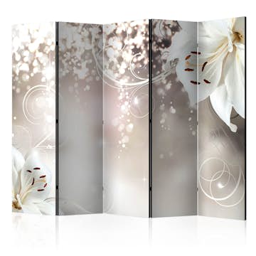 Rumsavdelare Arkiio Magic Composition II 225x172 cm