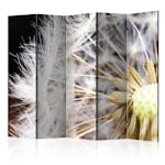 Rumsavdelare Arkiio Fluffy Dandelion II 225x172 cm