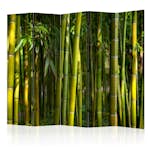 Rumsavdelare Arkiio Oriental Garden II 225x172 cm