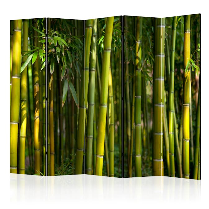 Rumsavdelare Arkiio Oriental Garden II 225x172 cm