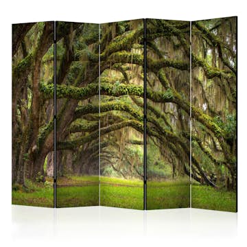 Rumsavdelare Arkiio Tree Embrace II 225x172 cm