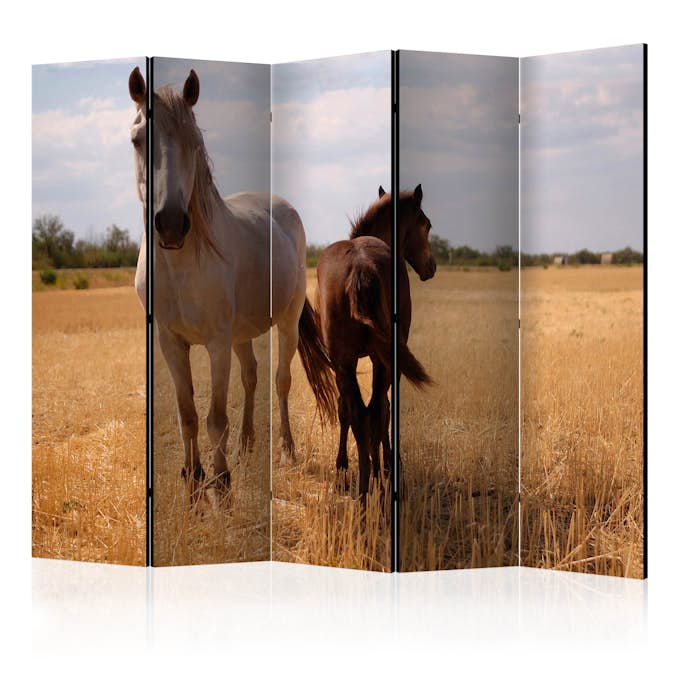 Rumsavdelare Arkiio Horse And Foal II 225x172 cm