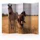 Rumsavdelare Arkiio Horse And Foal II 225x172 cm