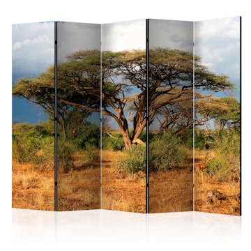 Rumsavdelare Arkiio Samburu National Reserve Kenya II 225x172 cm