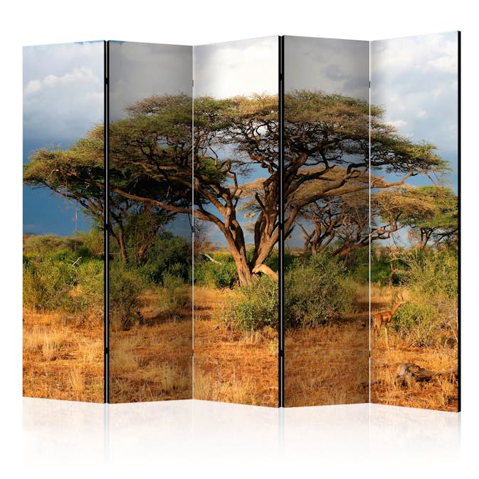 Rumsavdelare Arkiio Samburu National Reserve Kenya II 225x172 cm