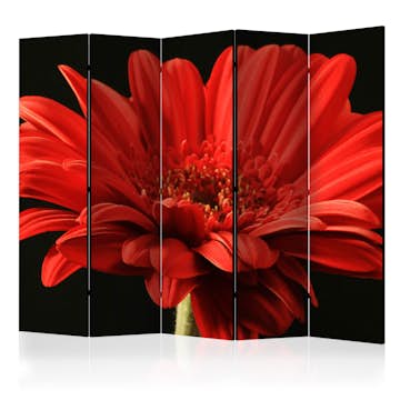 Rumsavdelare Arkiio Red Gerbera Flower II 225x172 cm