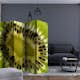 Rumsavdelare Arkiio Fruits: Kiwi II 225x172 cm