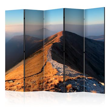 Rumsavdelare Arkiio Mountain Footpath Tatras II 225x172 cm