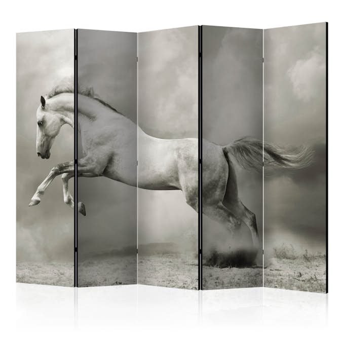 Rumsavdelare Arkiio Wild Stallion II 225x172 cm