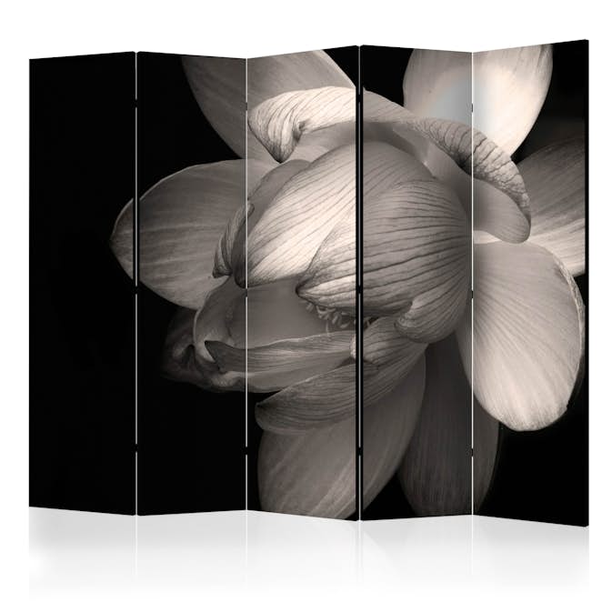 Rumsavdelare Arkiio Lotus Flower II 225x172 cm