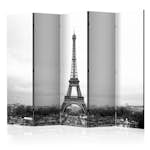 Rumsavdelare Arkiio Paris: Black And White Photography II 225x172 cm