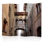 Rumsavdelare Arkiio Barcelona Palau Generalitat In Gothic Barrio II 225x172 cm