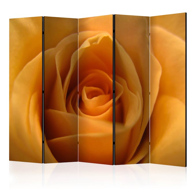 Rumsavdelare Arkiio Yellow Rose – A Symbol Of Friendship II 225x172 cm
