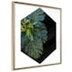 Poster Artgeist Affisch Plant Hexagon