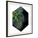 Poster Artgeist Affisch Plant Hexagon