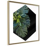 Poster Artgeist Affisch Plant Hexagon