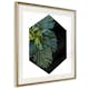 Poster Artgeist Affisch Plant Hexagon