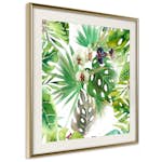 Poster Artgeist Affisch Tropical Shadow
