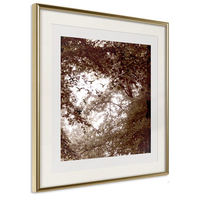 Poster Artgeist Affisch Freedom