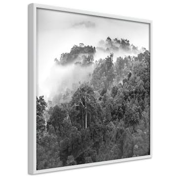 Poster Artgeist Affisch Rainforest