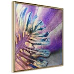 Poster Artgeist Affisch Colourful Monstera