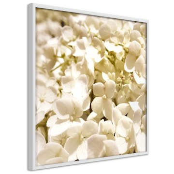 Poster Artgeist Affisch White Meadow