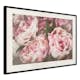 Poster Artgeist Affisch Pink Peonies
