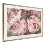 Poster Artgeist Affisch Pink Peonies