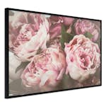 Poster Artgeist Affisch Pink Peonies