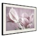 Poster Artgeist Affisch Pink Tulips