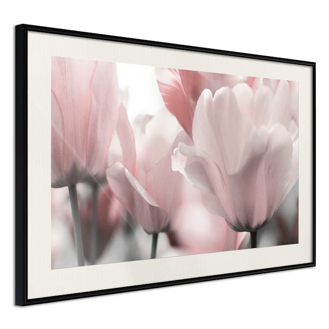 Poster Artgeist Affisch Fabulous Tulips