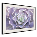 Poster Artgeist Affisch Purple Succulent