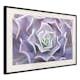 Poster Artgeist Affisch Purple Succulent