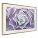 Poster Artgeist Affisch Purple Succulent