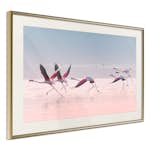 Poster Artgeist Affisch Flamingos Race