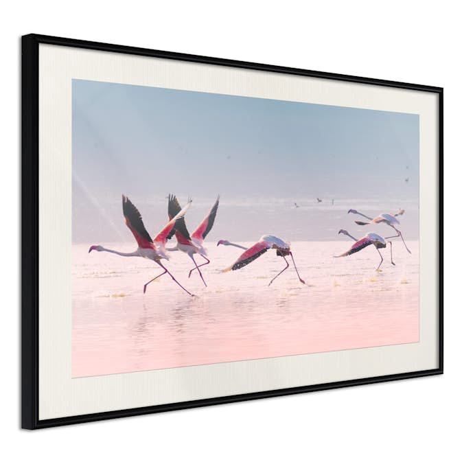 Poster Artgeist Affisch Flamingos Race