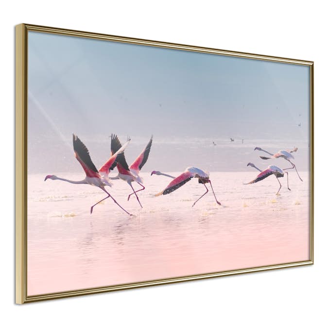 Poster Artgeist Affisch Flamingos Race