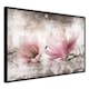 Poster Artgeist Affisch Magnolia Memory
