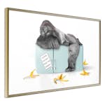 Poster Artgeist Affisch Hungry Gorilla