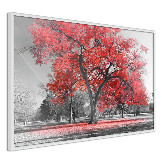 Poster Artgeist Affisch Autumn in the Park Red