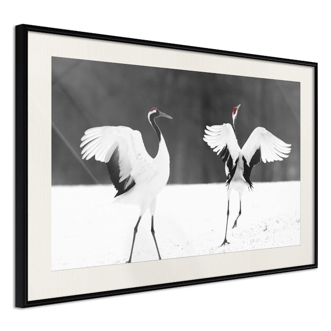 Poster Artgeist Affisch Dancing Cranes
