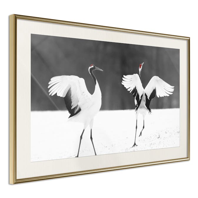 Poster Artgeist Affisch Dancing Cranes