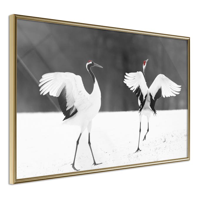 Poster Artgeist Affisch Dancing Cranes