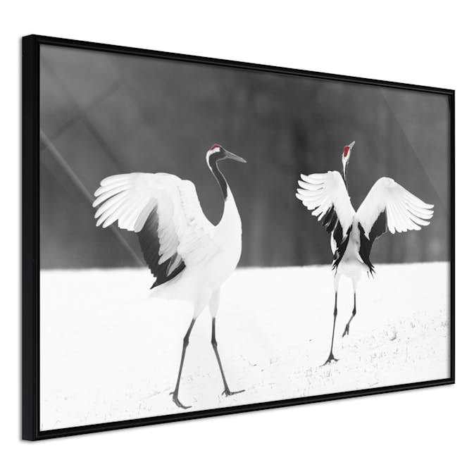 Poster Artgeist Affisch Dancing Cranes