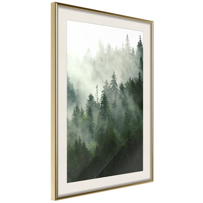 Poster Artgeist Affisch Coniferous Forest