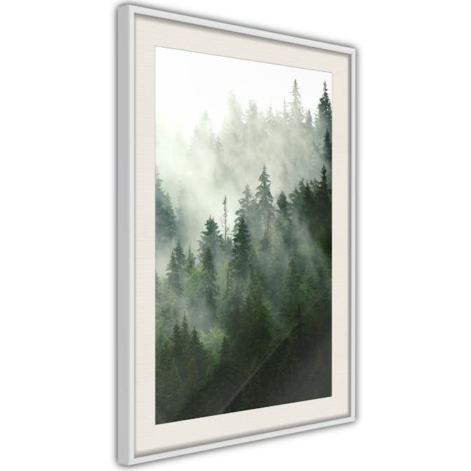 Poster Artgeist Affisch Coniferous Forest