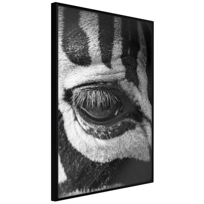 Poster Artgeist Affisch Zebra Eye