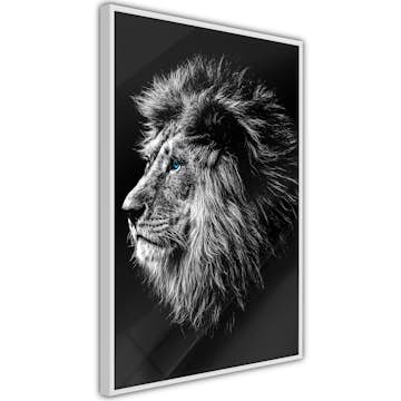 Poster Artgeist Affisch Blue-eyed Lion